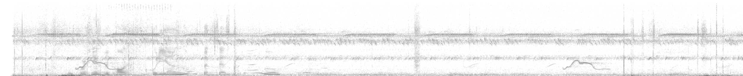 pauraquenattravn - ML644698171