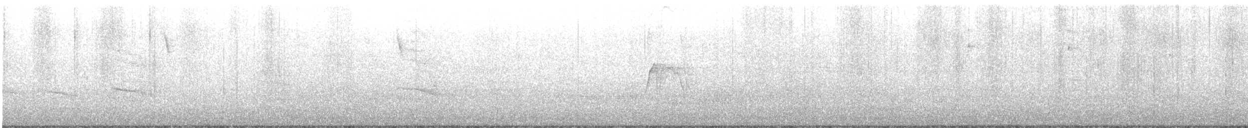 Sulphur-bellied Flycatcher - ML644698733