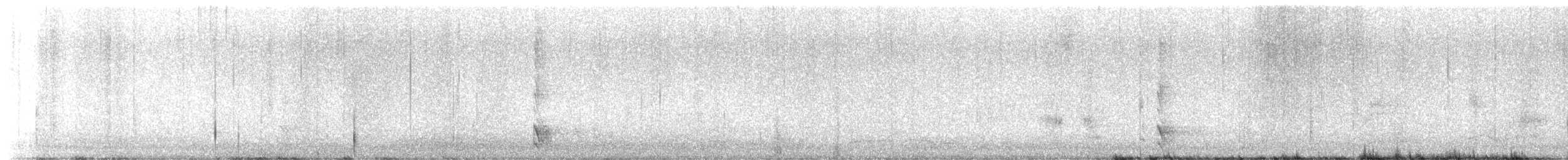 Taccola - ML644699181