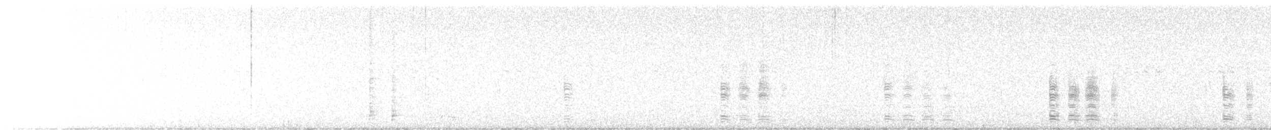 husa velká - ML644699235