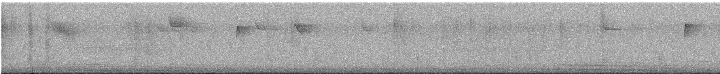 Hermit Thrush - ML644699474