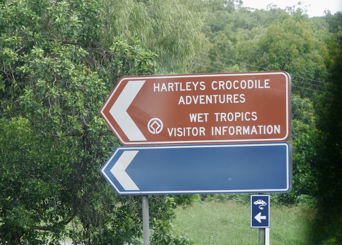 Animals - ML644699551