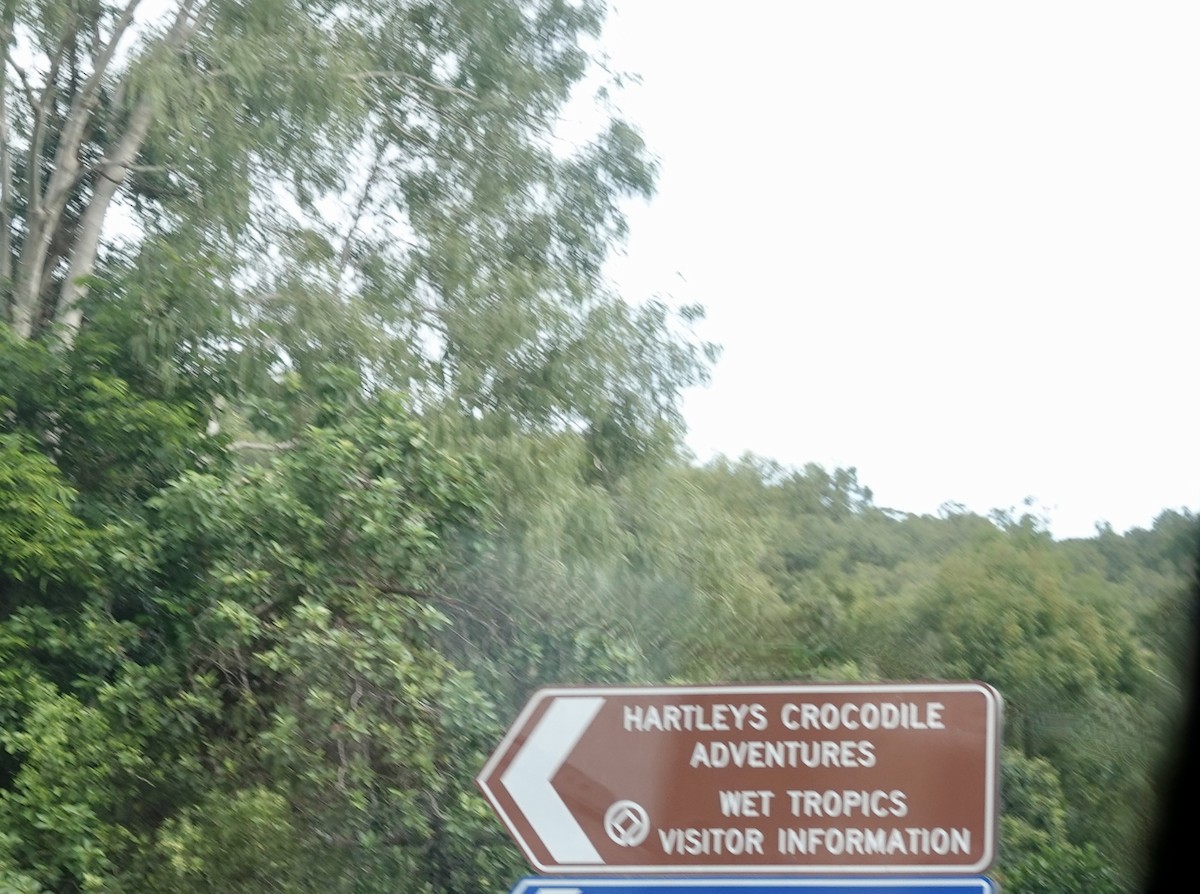 Animals - ML644699587