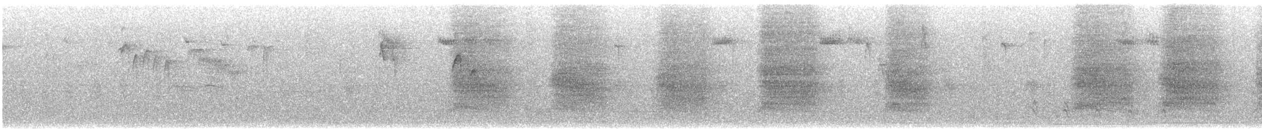 Steller Kargası - ML644700007