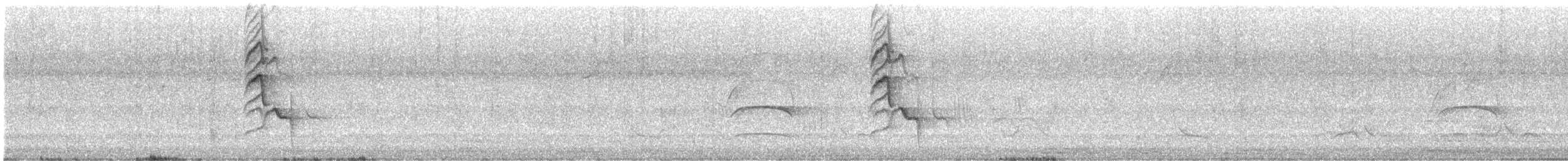 Черноклювый дрозд - ML644700008