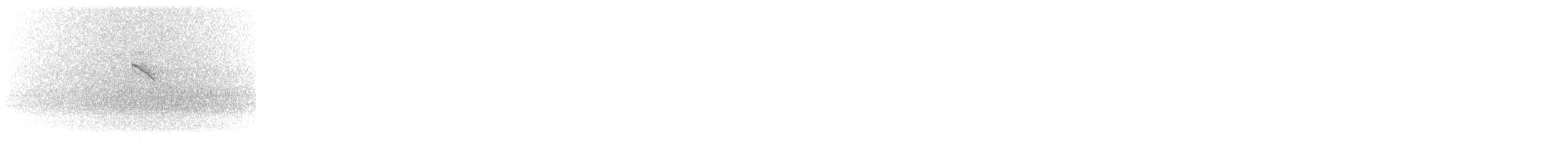 LeConte's Sparrow - ML644700032