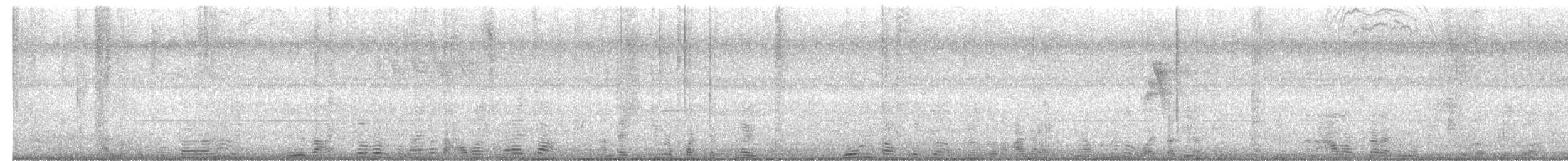 Greenish Warbler - ML644700263