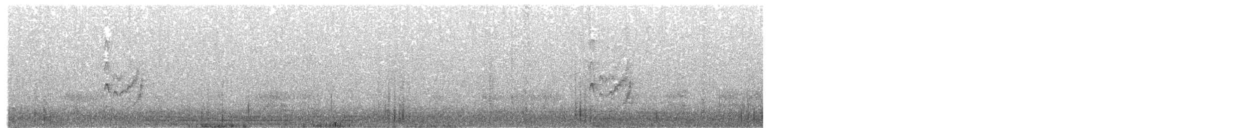 ハシブトタイランチョウ - ML644700401