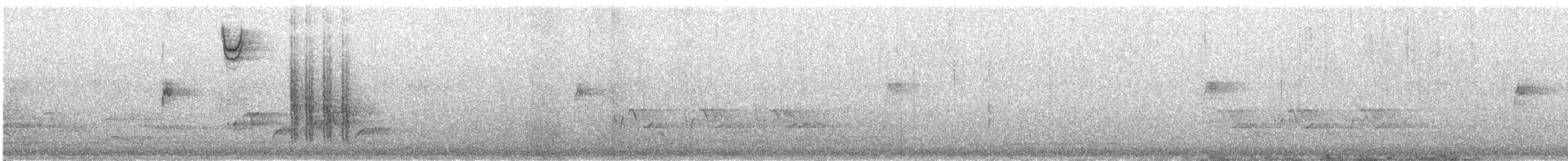 Chingolo Cantor - ML644700671