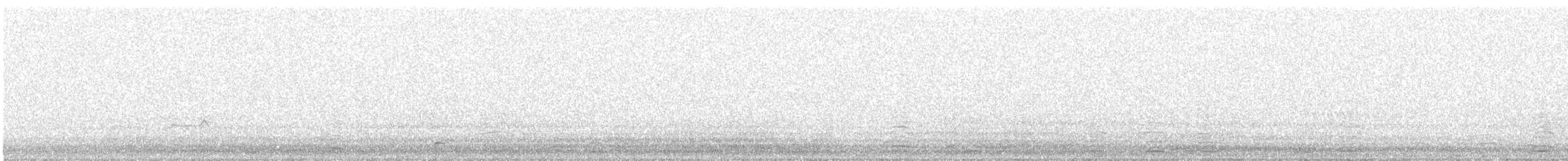 Whooper Swan - ML644700789