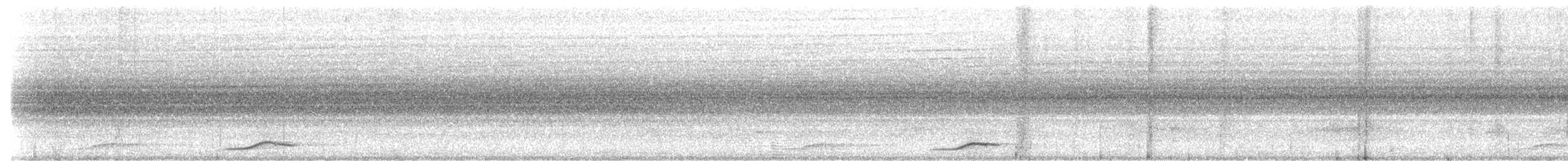 Schwarzschwingenpirol - ML644701013