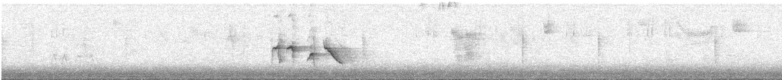 Fuchsammer - ML644701193