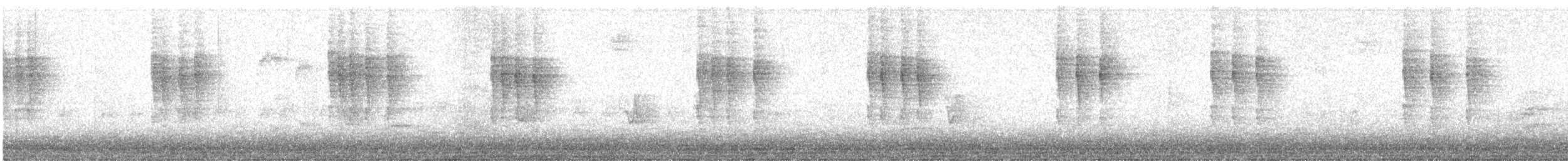 Pazifikzaunkönig - ML644701200