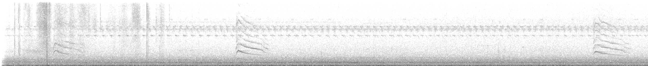 Gelbbauch-Saftlecker - ML644701484