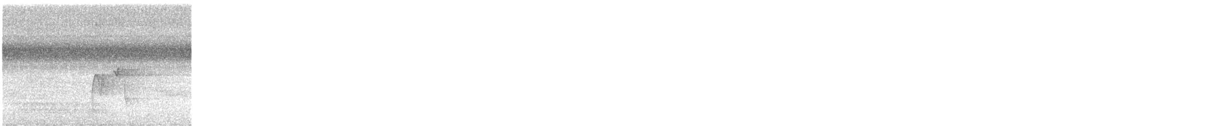 Піві-малюк оливковий - ML644701727