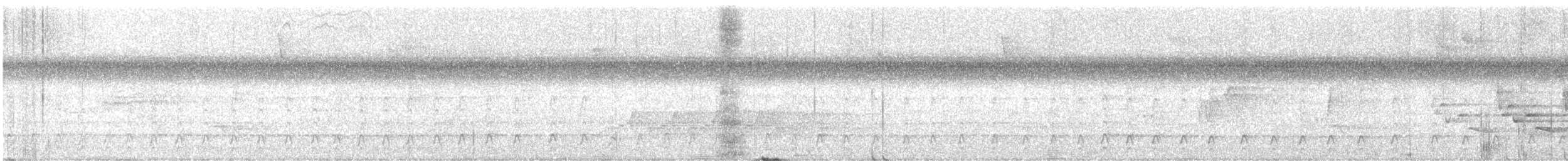 datel chocholatý - ML644701777