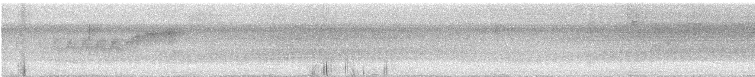 Northern Parula - ML644701843