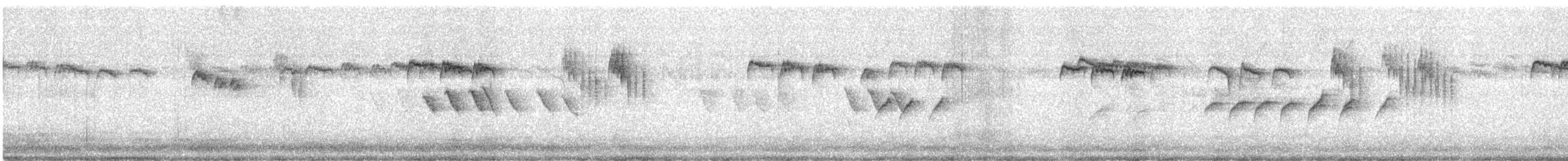 Сүүлт хөх бух - ML644702555