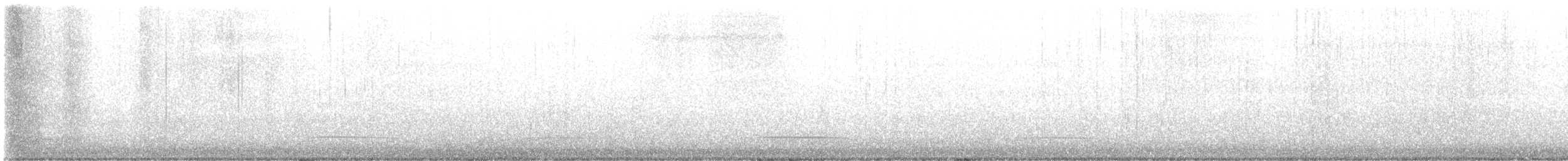 Black Scoter - ML644702859