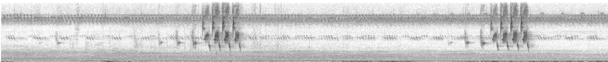 Овсянковый кардинальчик - ML644703445