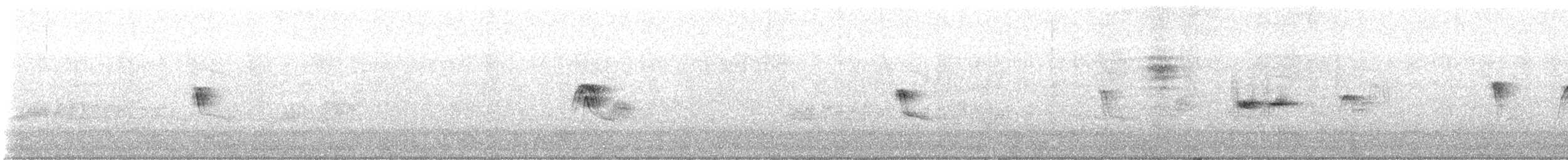 Светлобрюхий фиби - ML644703459