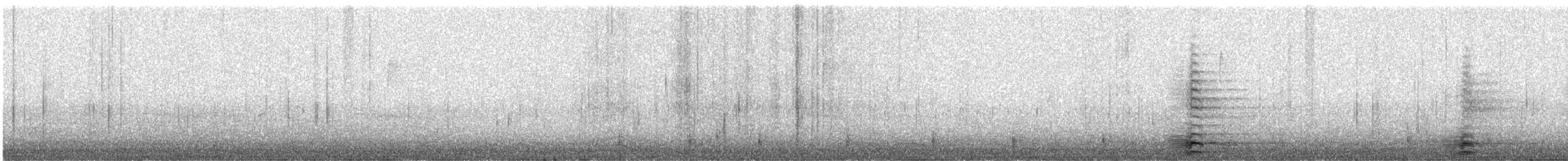 Канадская казарка - ML644703917