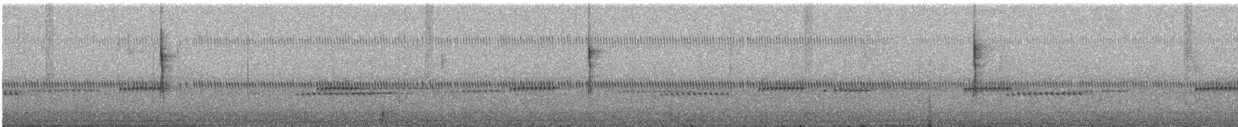 Black-throated Green Warbler - ML644703927