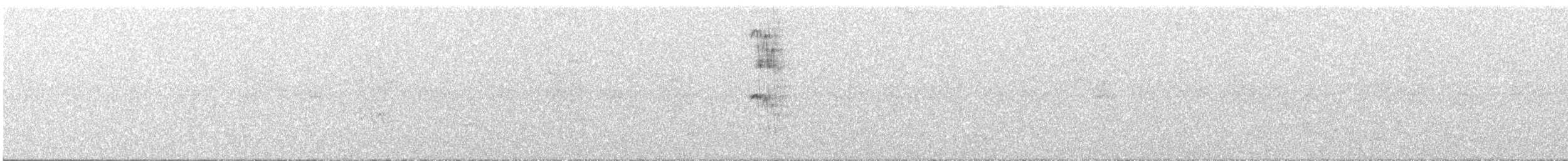 Белолицый эполетник - ML644703989