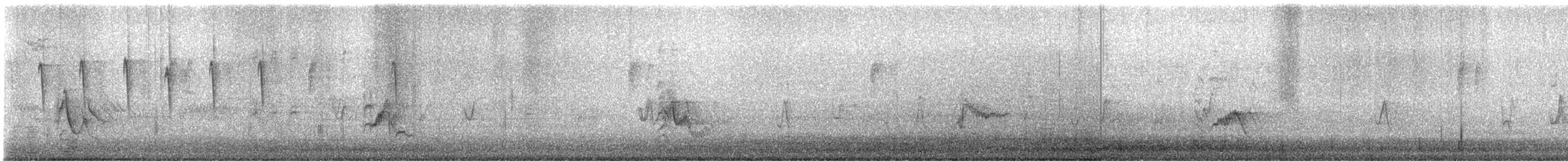 Plumbeous Vireo - ML644704218