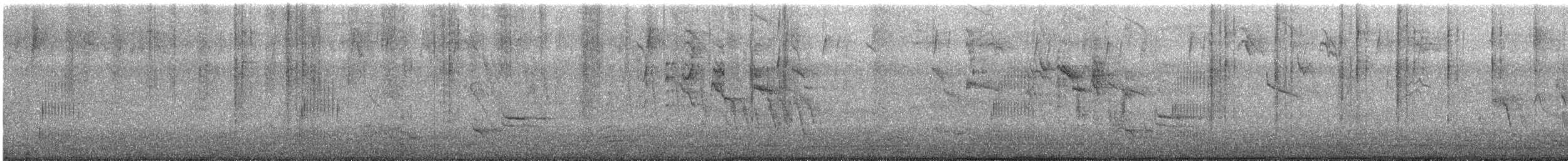 holoubek skřehotavý - ML644704340