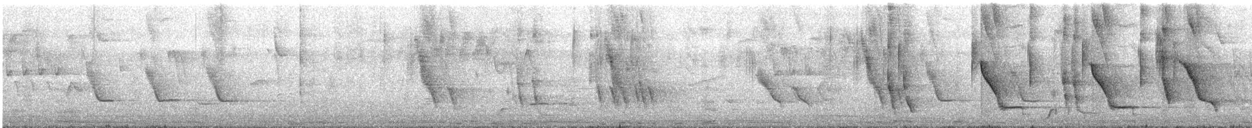 Scrub Blackbird - ML644704369