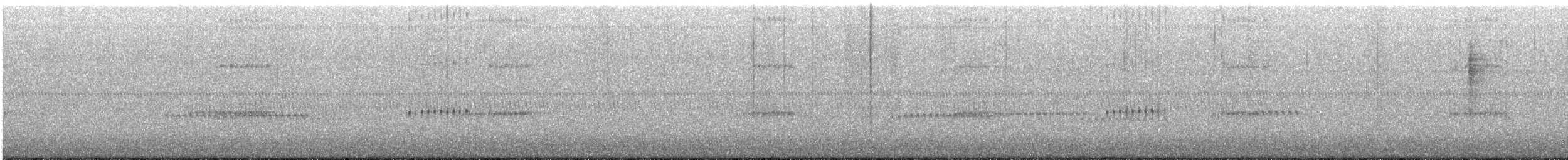 Black-throated Green Warbler - ML644704439