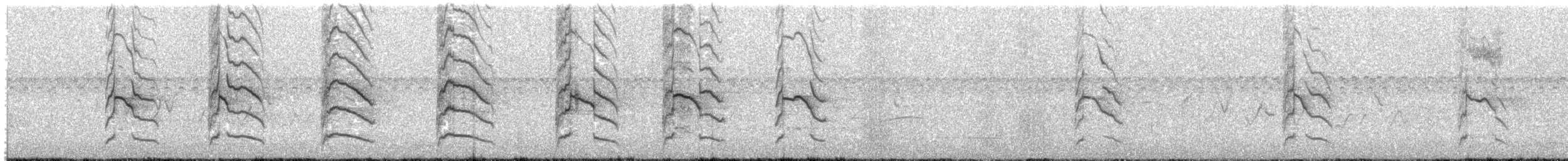 Cinereous Harrier - ML644704536
