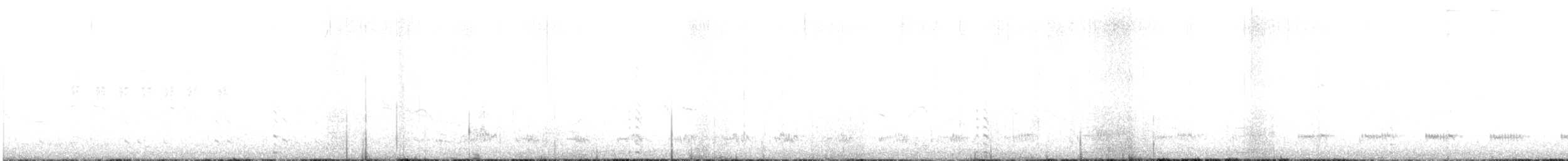 Talève sultane - ML644704718