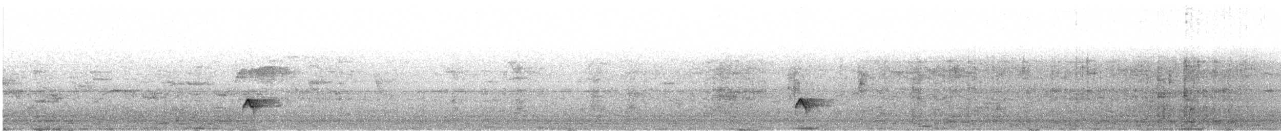 Черноклювый дрозд - ML644704987