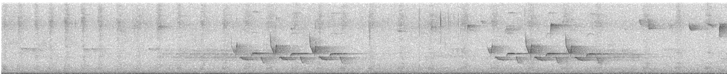 Carolina Wren - ML644705013