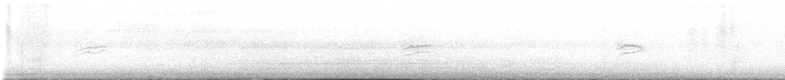 Hermit Thrush (guttatus Group) - ML644705136