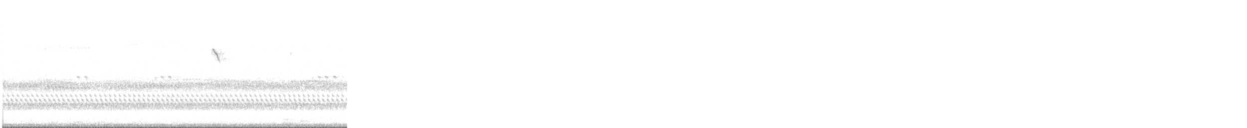 Northern Parula - ML644705183