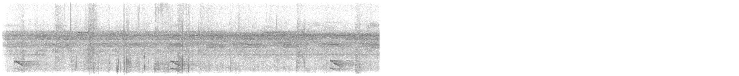 Barred Forest-Falcon - ML644705261