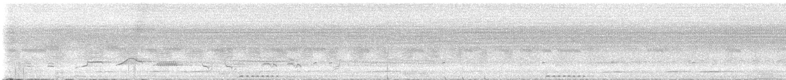 Rufous-capped Motmot - ML644705621