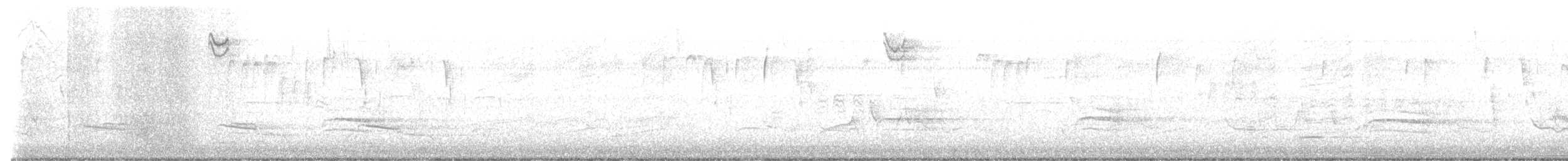 Chingolo Cantor - ML644705673