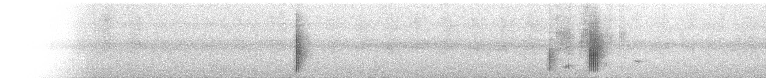 White-bearded Manakin - ML644705869