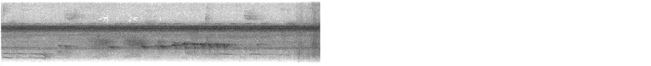 Striated Antbird - ML644705957