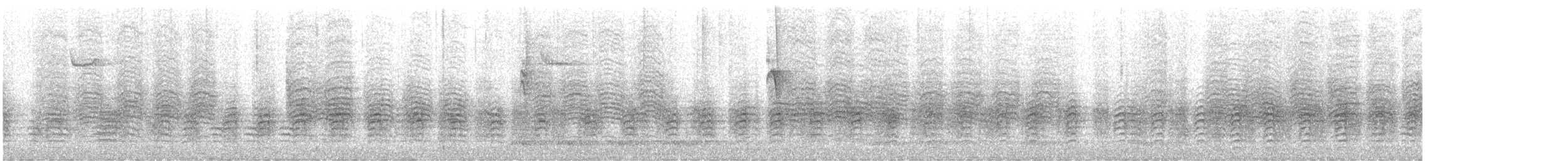 Sittelle à poitrine rousse - ML644706116