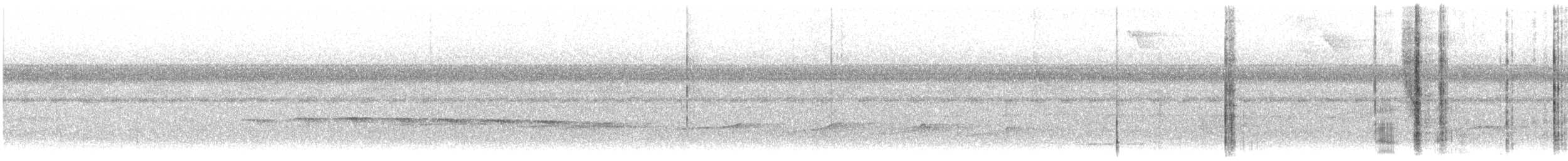 Black-faced Antbird - ML644706223