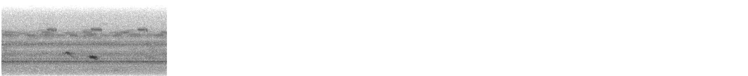 Zorzalito sp. - ML644706356