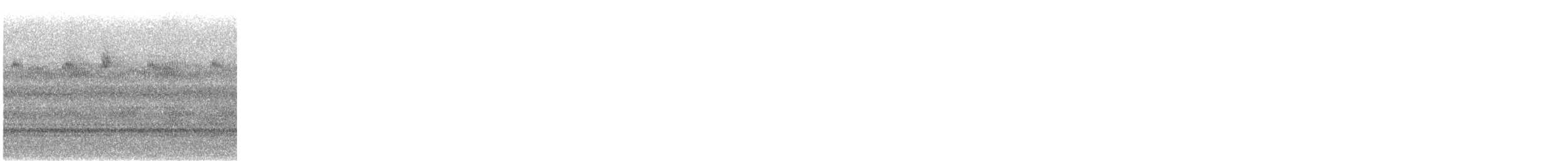 Bay-breasted Warbler - ML644706413