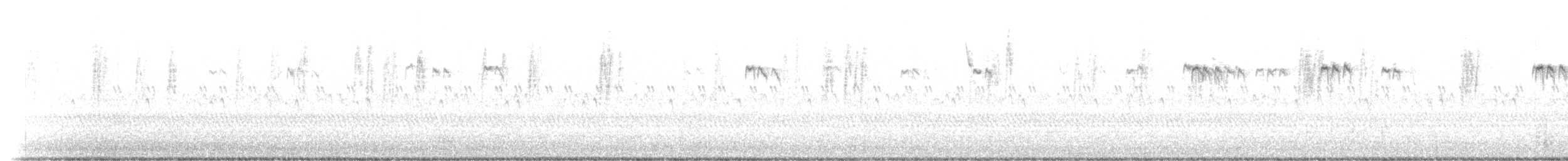 mlynařík americký - ML644706471