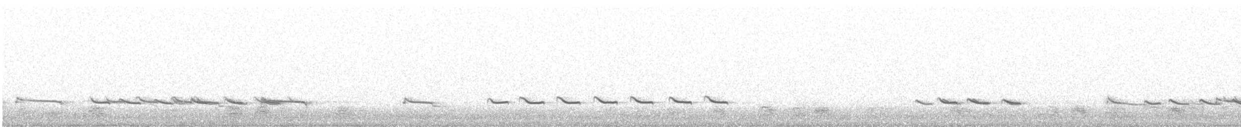 Chevalier aboyeur - ML644708038