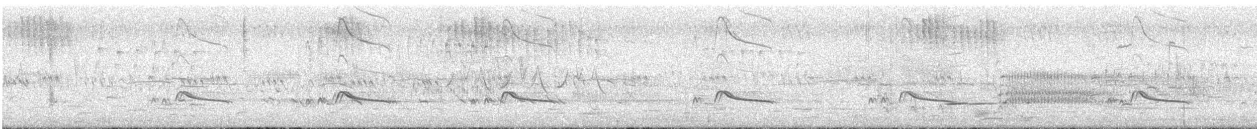 Moucherolle à ventre roux - ML644708228